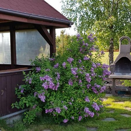Dom W Skowronkach Villa Sasino Ngoại thất bức ảnh