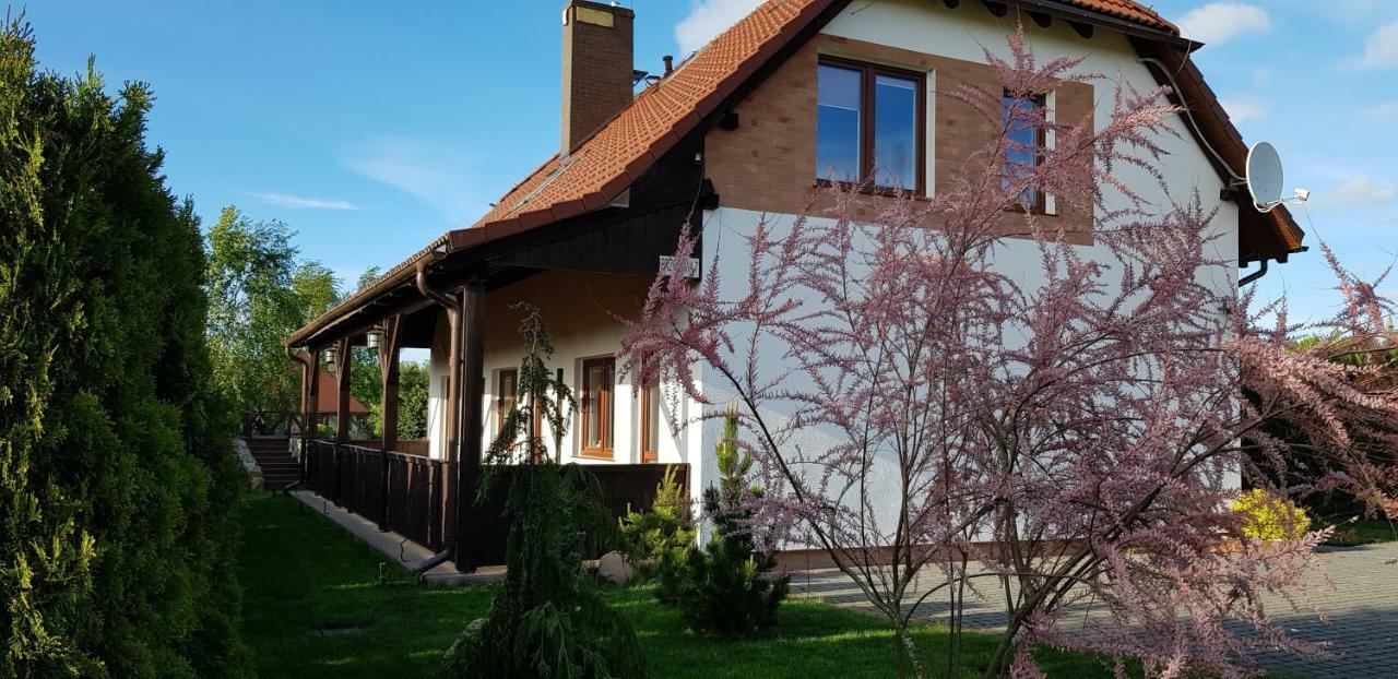 Dom W Skowronkach Villa Sasino Ngoại thất bức ảnh