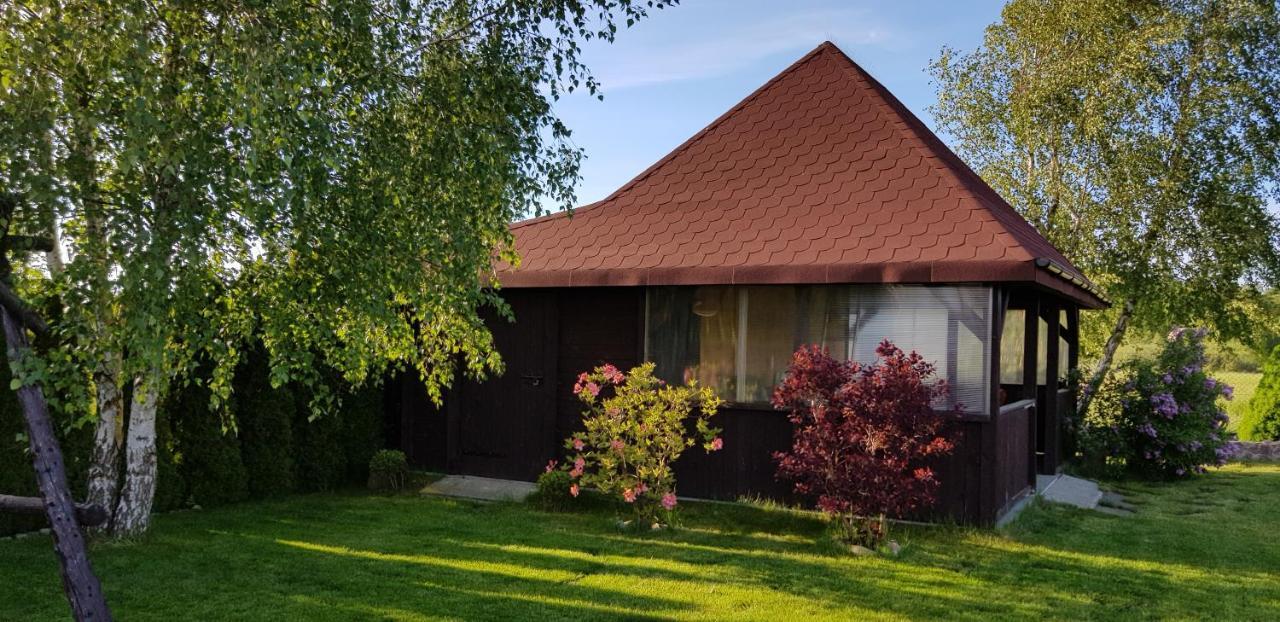 Dom W Skowronkach Villa Sasino Ngoại thất bức ảnh