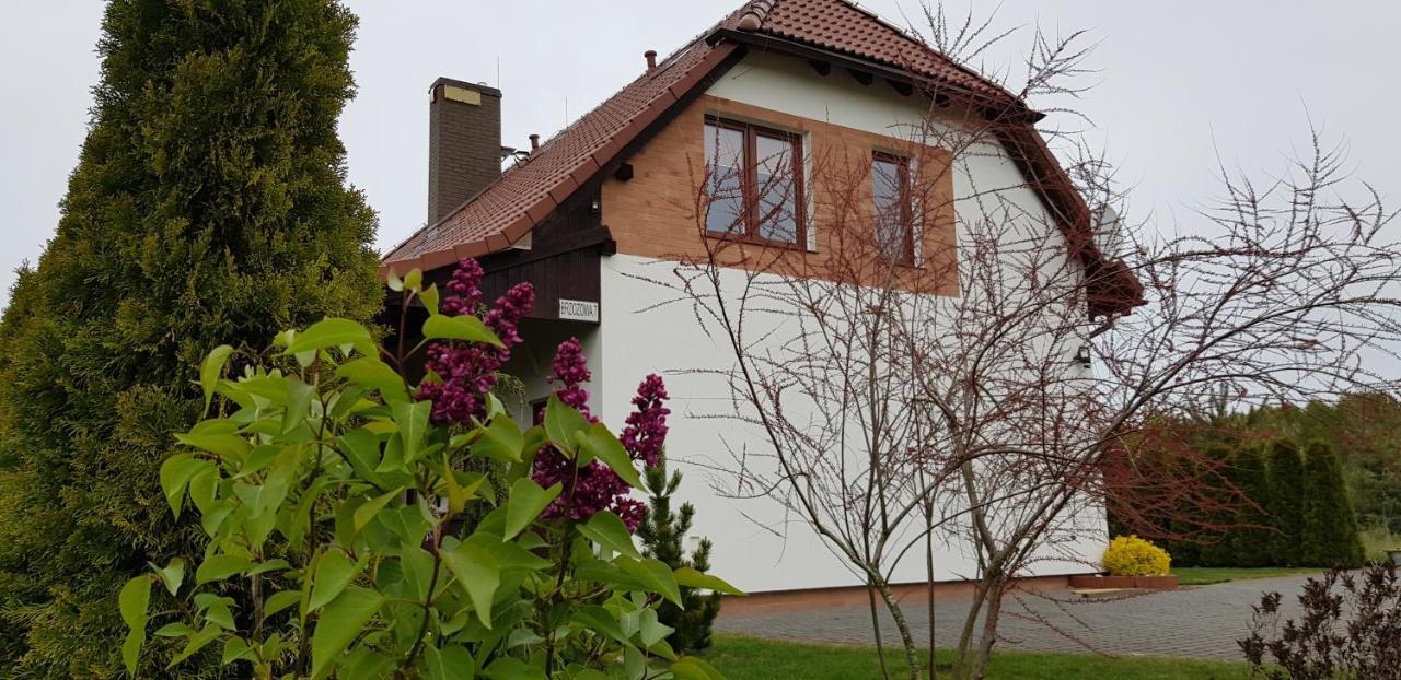 Dom W Skowronkach Villa Sasino Ngoại thất bức ảnh